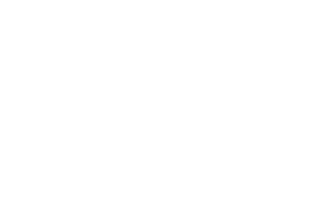 Clean Profi logo
