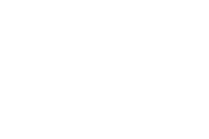 Hyatt Immobilien logo