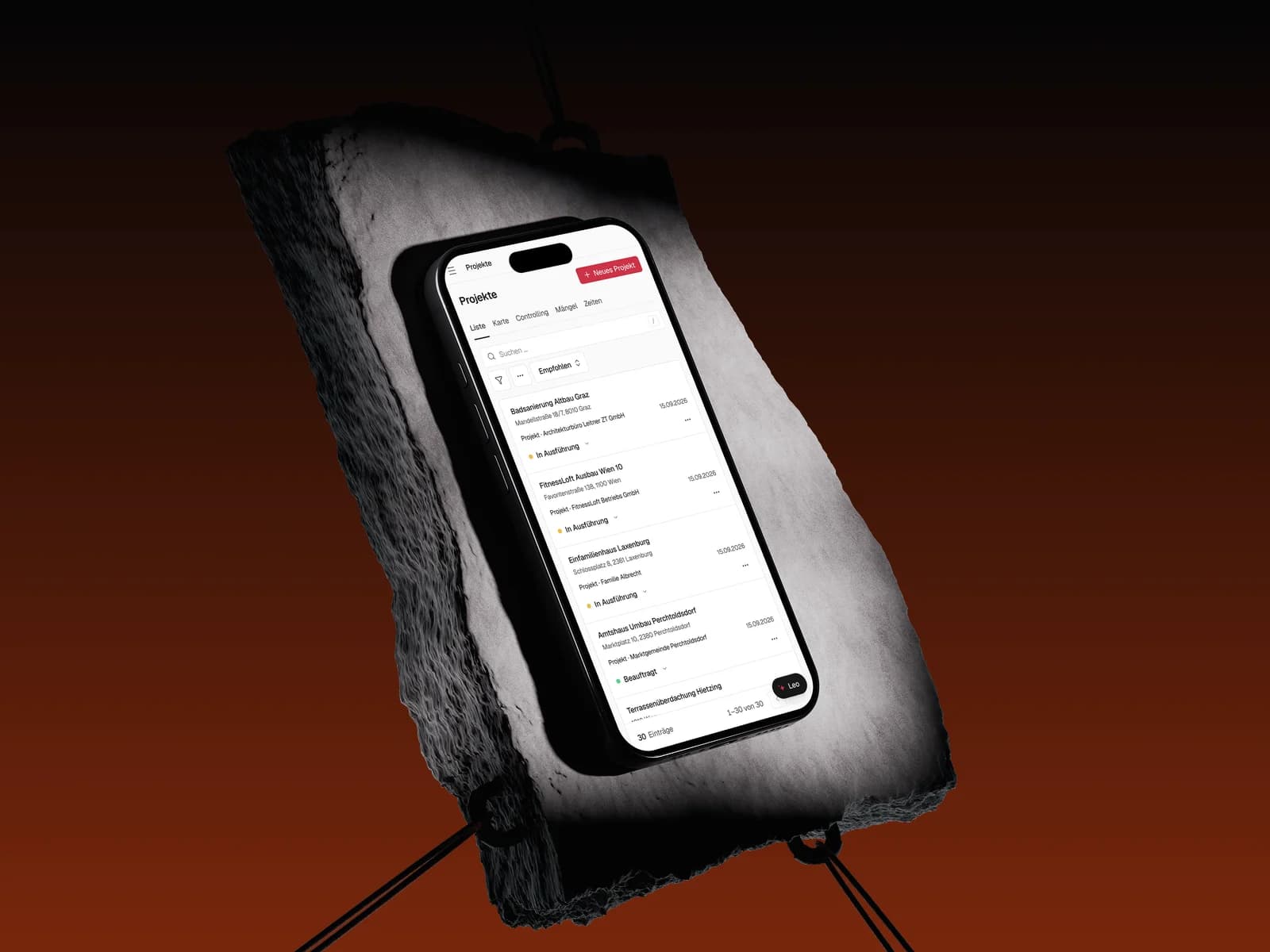 Bauleo Software website — image 12