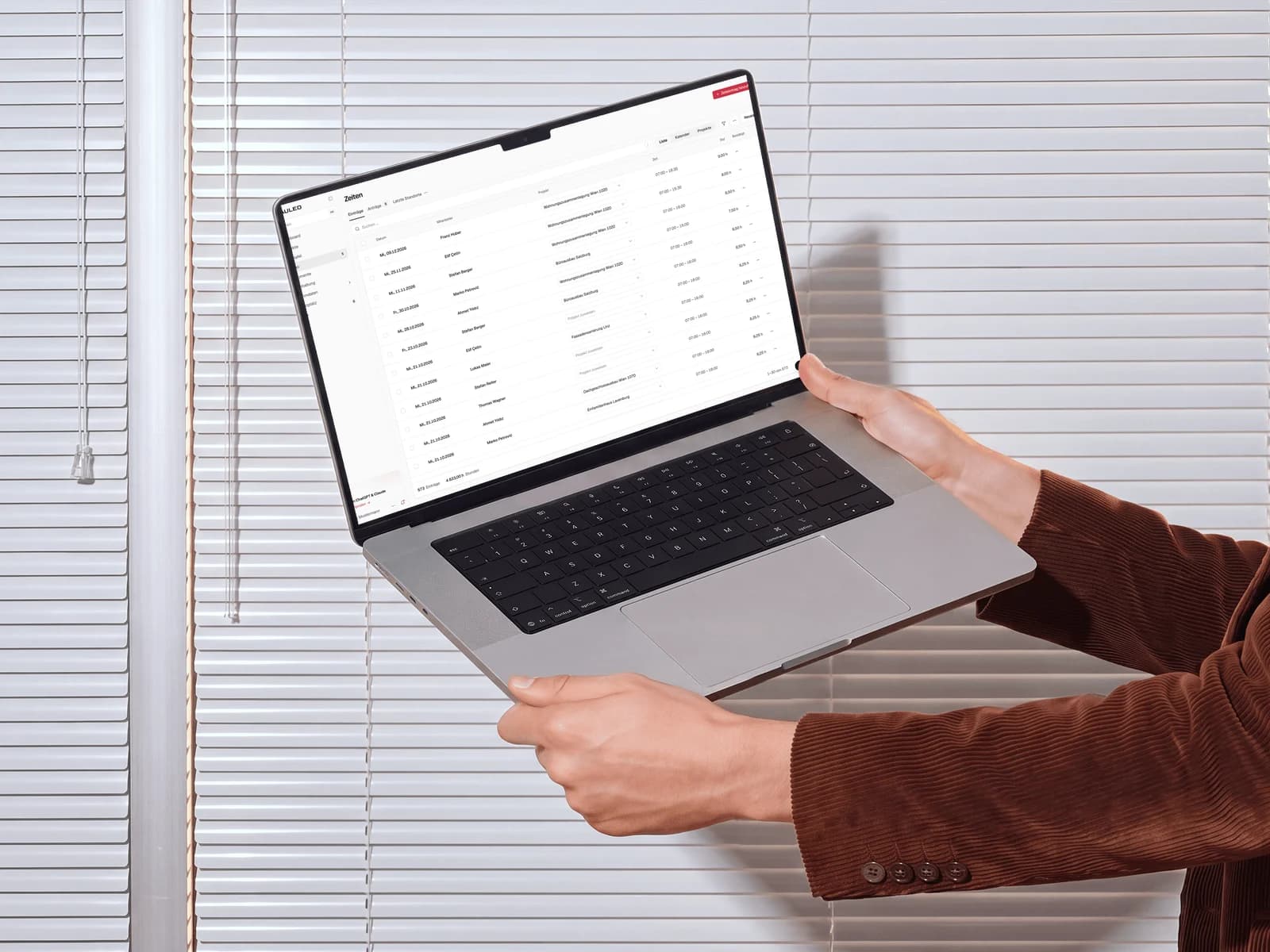 Bauleo Software website — image 5