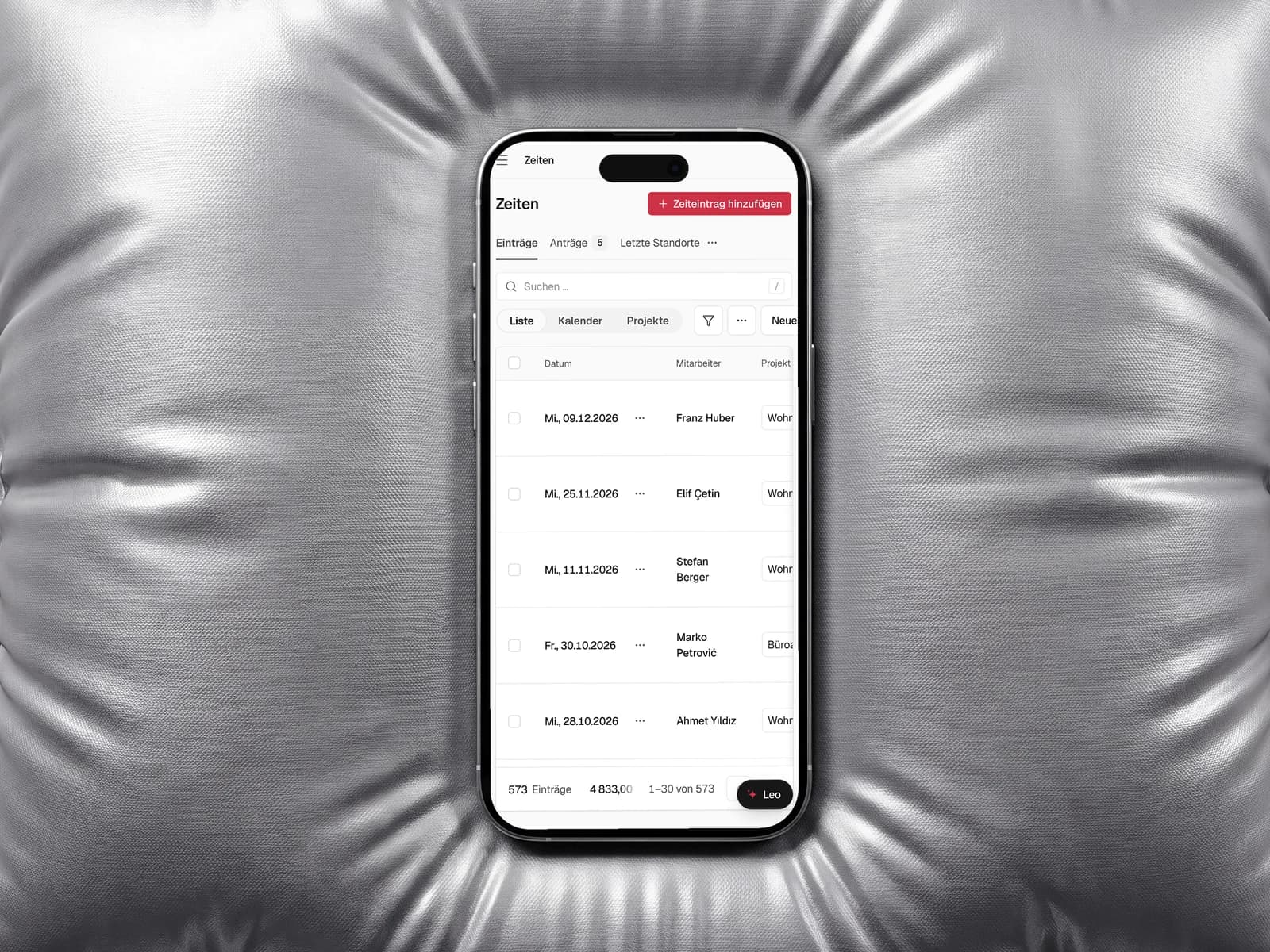 Bauleo Software website — image 7