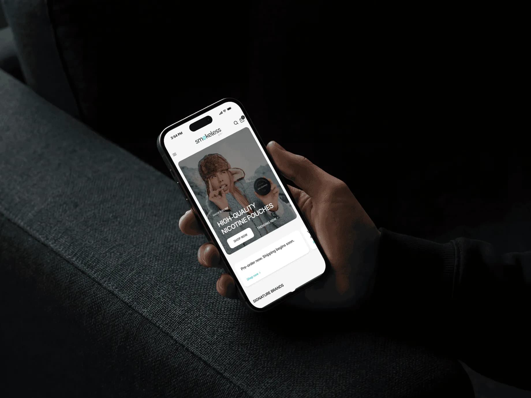 Smokeless Trade & Commerce website — image 2